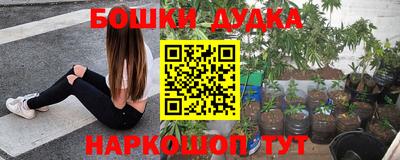 a pvp Кулебаки